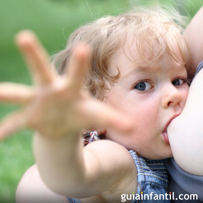 Alimentos que mudam o sabor do leite materno