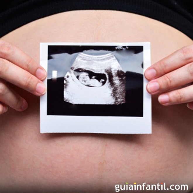 Placenta: o que é e por que é tão crucial durante a gravidez