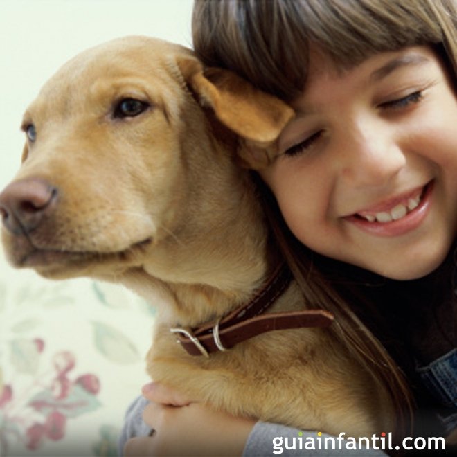 Como educar os sentimentos das crianças