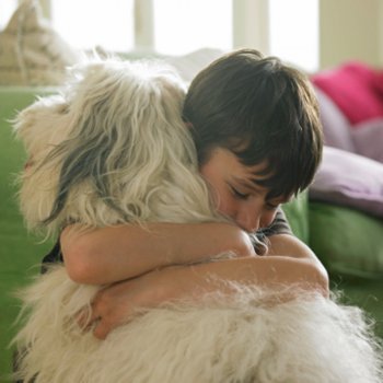 Por que existem crianças que necessitam de mais carinho do que outras