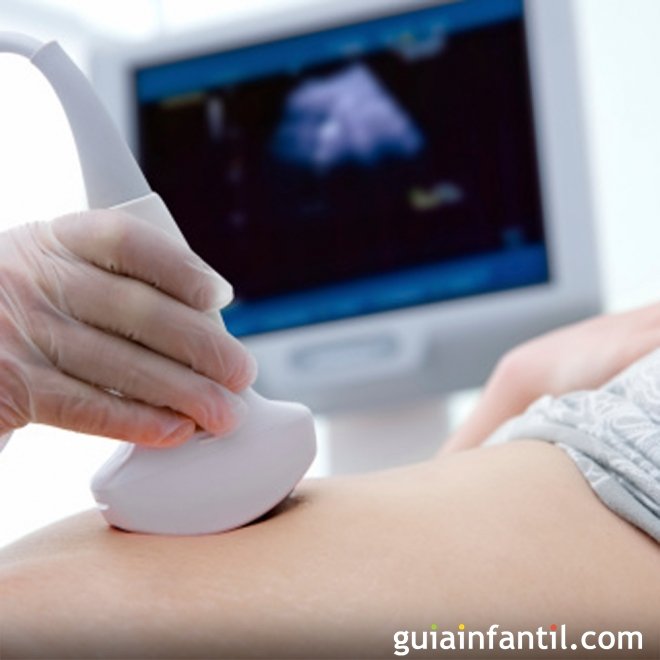 Sintomas de morte fetal durante a gravidez