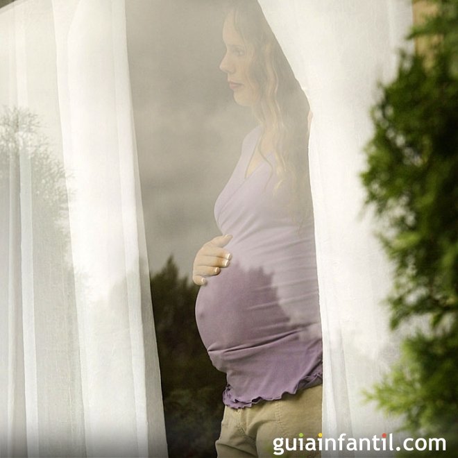 5 conselhos para que a gestante se proteja do zika vírus