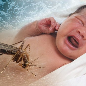 Zika vírus. Um médico espanhol esclarece suas dúvidas