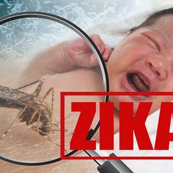 Causas, sintomas e tratamento do Zika vírus