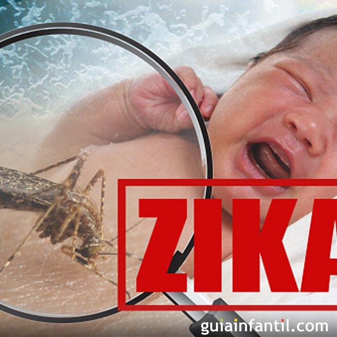 Causas, sintomas e tratamento do Zika vírus