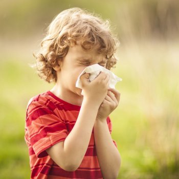 10 remédios caseiros para combater a alergia ao pólen