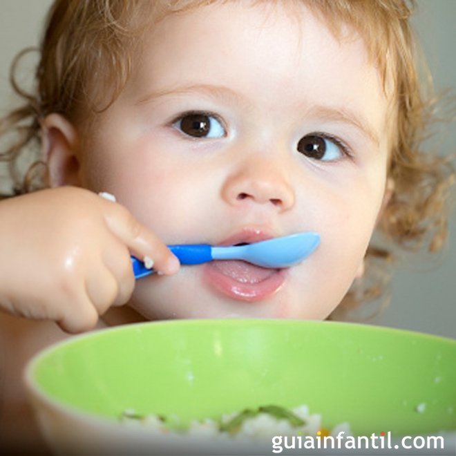 Benefícios da quinoa na dieta infantil