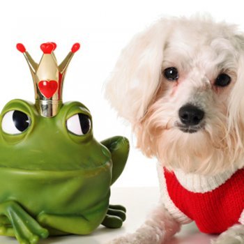 O tempo firme e a chuva. Fábulas novas para crianças