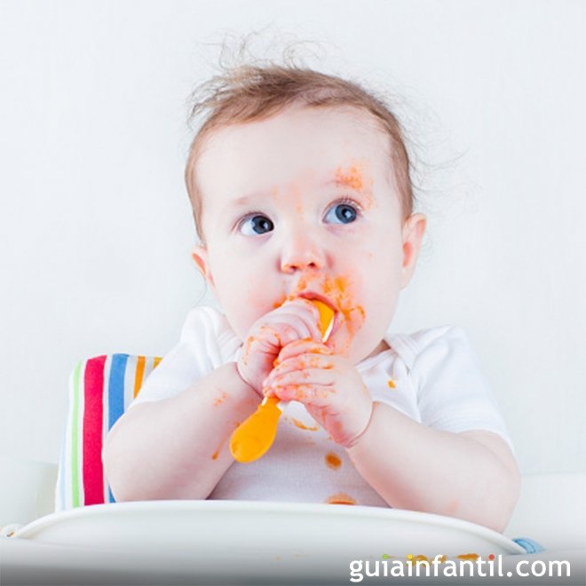 O que é o Baby Led Weaning ou Desmame dirigido pelo bebê