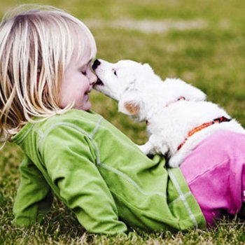 O contágio da raiva em crianças