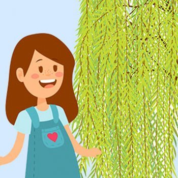 Natura e o Salgueiro-chorão. Conto infantil