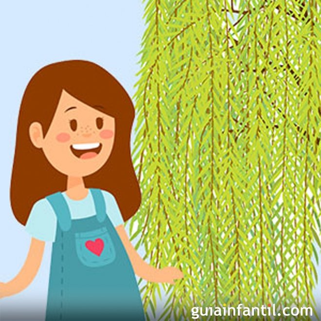 Natura e o Salgueiro-chorão. Conto infantil