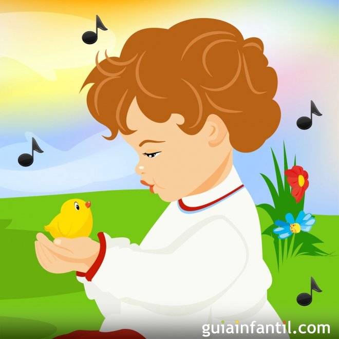 Pintinho Amarelinho. Cantiga infantil