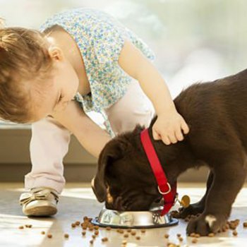 10 conselhos antes de dar um bichinho de estimação para as crianças
