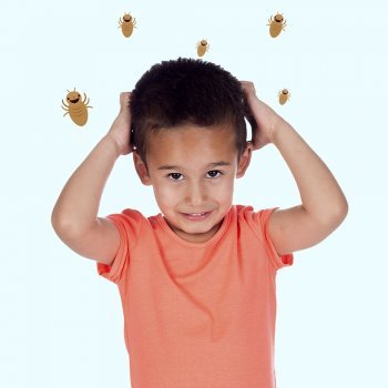 Piolhos ou Pediculose