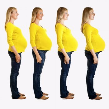 As etapas da gravidez e o desenvolvimento do feto mês a mês