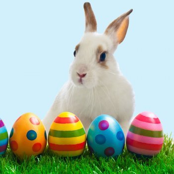 O coelhinho da Páscoa, origem e tradição