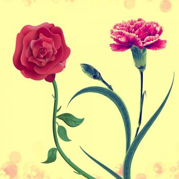 O cravo brigou com a rosa. Canção para crianças