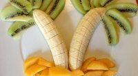 Coqueiros de frutas. Comida divertida para as crianças