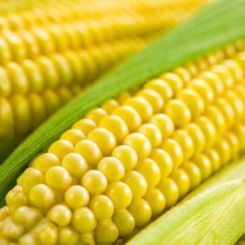 Milho Verde Cozido. Receitas juninas para crianças