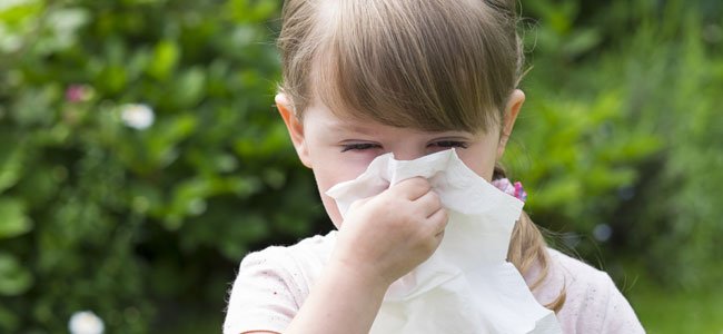 Alergia en la infancia Alergia en la infancia