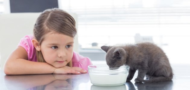 alergia-à-proteína-do-leite-em-crianças A alergia-à-proteína-do-leite-em-crianças A