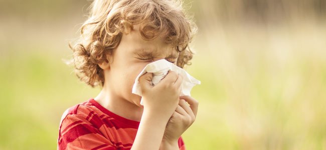 Crianças alérgicas ao polen Crianças alérgicas ao polen