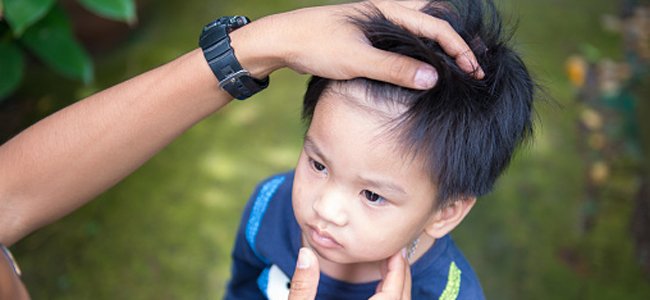 as-4-doenças-que-transmite-aedes-aegypti A