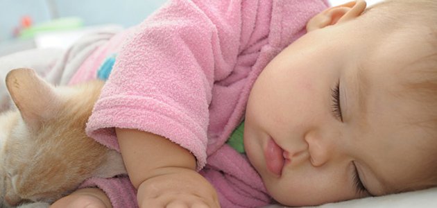 bebê-dormindo-cama-gatinho A