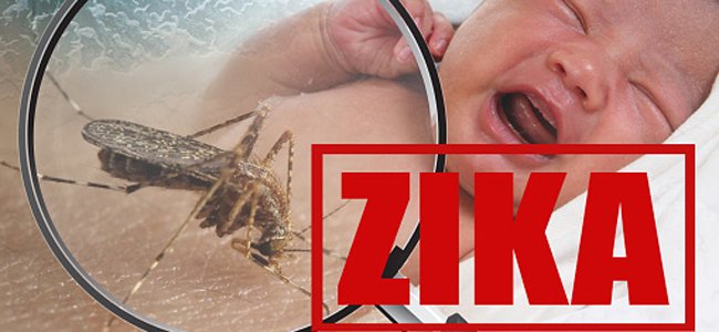 Causas Sintomas E Tratamento Do Zika V Rus