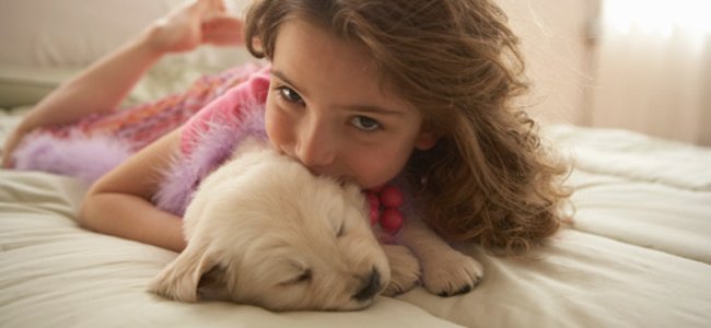 melhor-cachorros-do-que-gatos-pele-crianças A melhor-cachorros-do-que-gatos-pele-crianças A