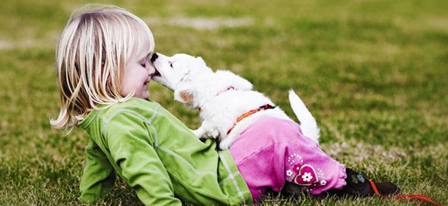 o-contágio-da-raiva-em-crianças A o-contágio-da-raiva-em-crianças A