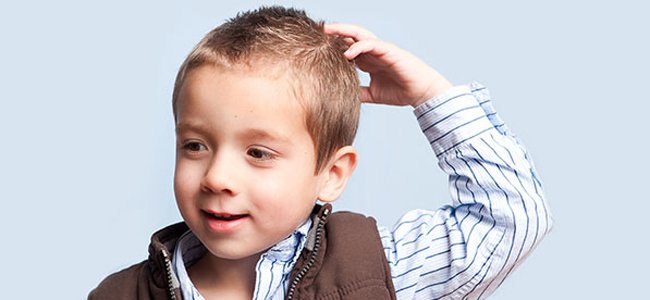 por-que-os-piolhos-parecem-não-morrer A