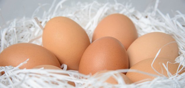 alergia-das-crianças-ao-ovo A alergia-das-crianças-ao-ovo A