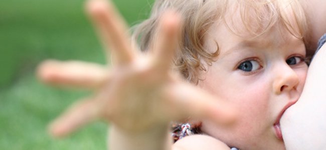 alimentos-que-mudam-sabor-leite-materno A alimentos-que-mudam-sabor-leite-materno A