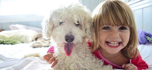 como-conseguir-que-o-bebê-seja-mais-sociável A