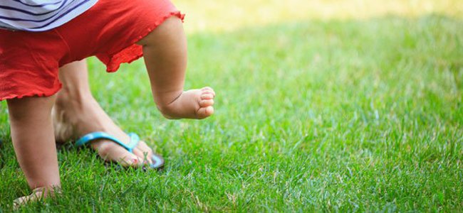 quando-o-bebê-não-se-decide-andar A quando-o-bebê-não-se-decide-andar A