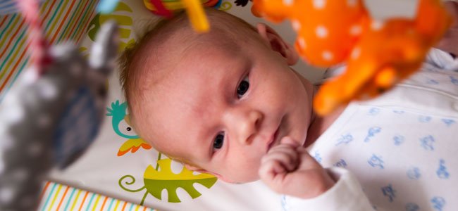 Os sentidos do bebê