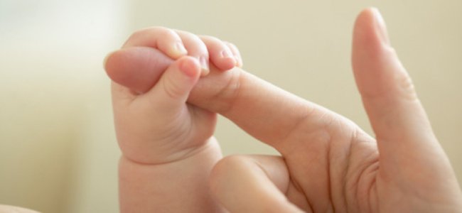 Como se pega a um bebê recém-nascido