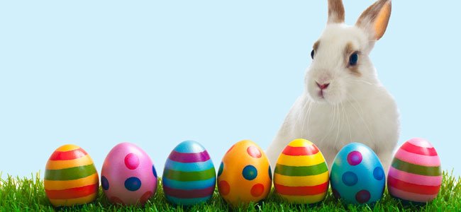 A origem do coelhinho de Pascoa