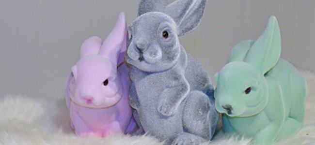 as-coelhinhas-que-não-sabiam-respeitar A