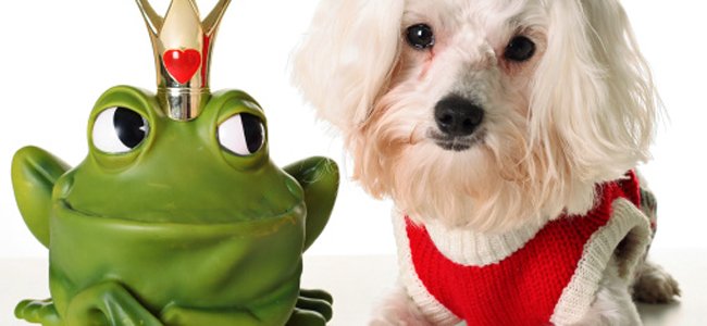 o-tempo-firme-e-a-chuva A