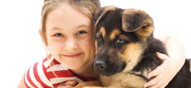 animais-de-estimação-melhores-amigos-crianças A animais-de-estimação-melhores-amigos-crianças A