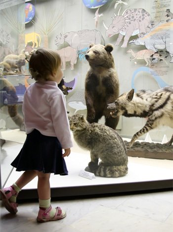 A primeira visita da criança a um museu