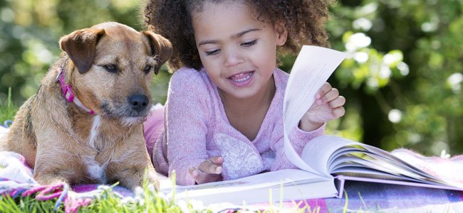 Cuidar de um animal deve ser um compromisso para a família