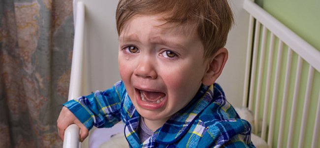 saber-dizer-não-também-educa-as-crianças A saber-dizer-não-também-educa-as-crianças A