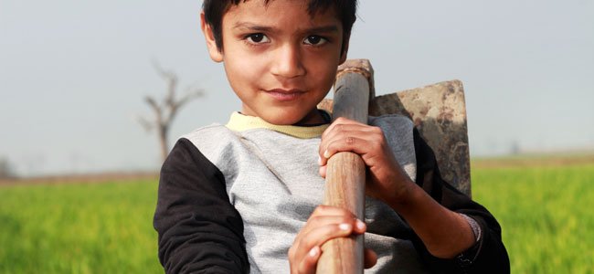 Trabalhar NÃO é coisa de criança. Trabalho infantil Trabalhar NÃO é coisa de criança. Trabalho infantil