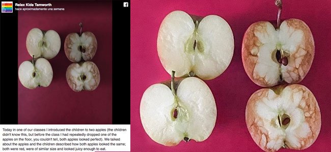 uma-professora-explica-bullying-maçãs A uma-professora-explica-bullying-maçãs A