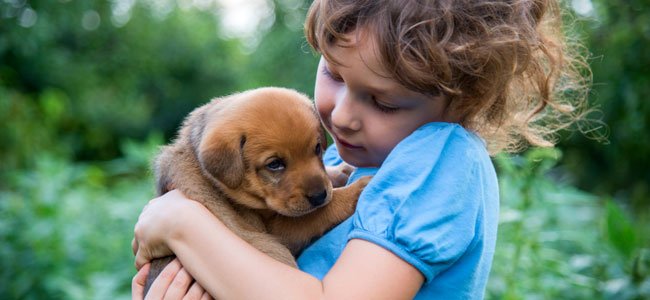 as crianças e os animais as crianças e os animais