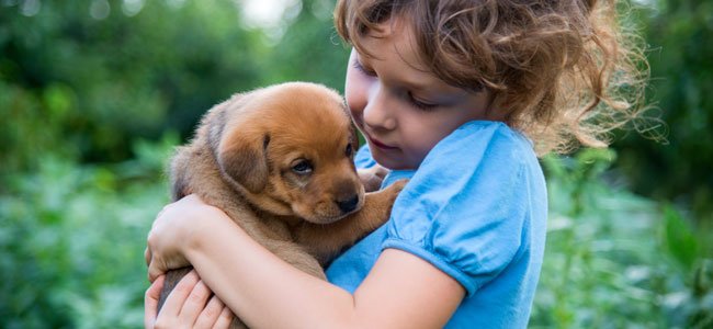 Beneficios de ter um animal de estimaçao na família Beneficios de ter um animal de estimaçao na família